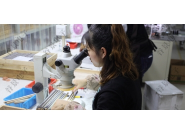 功率電感和共模電感的區(qū)別